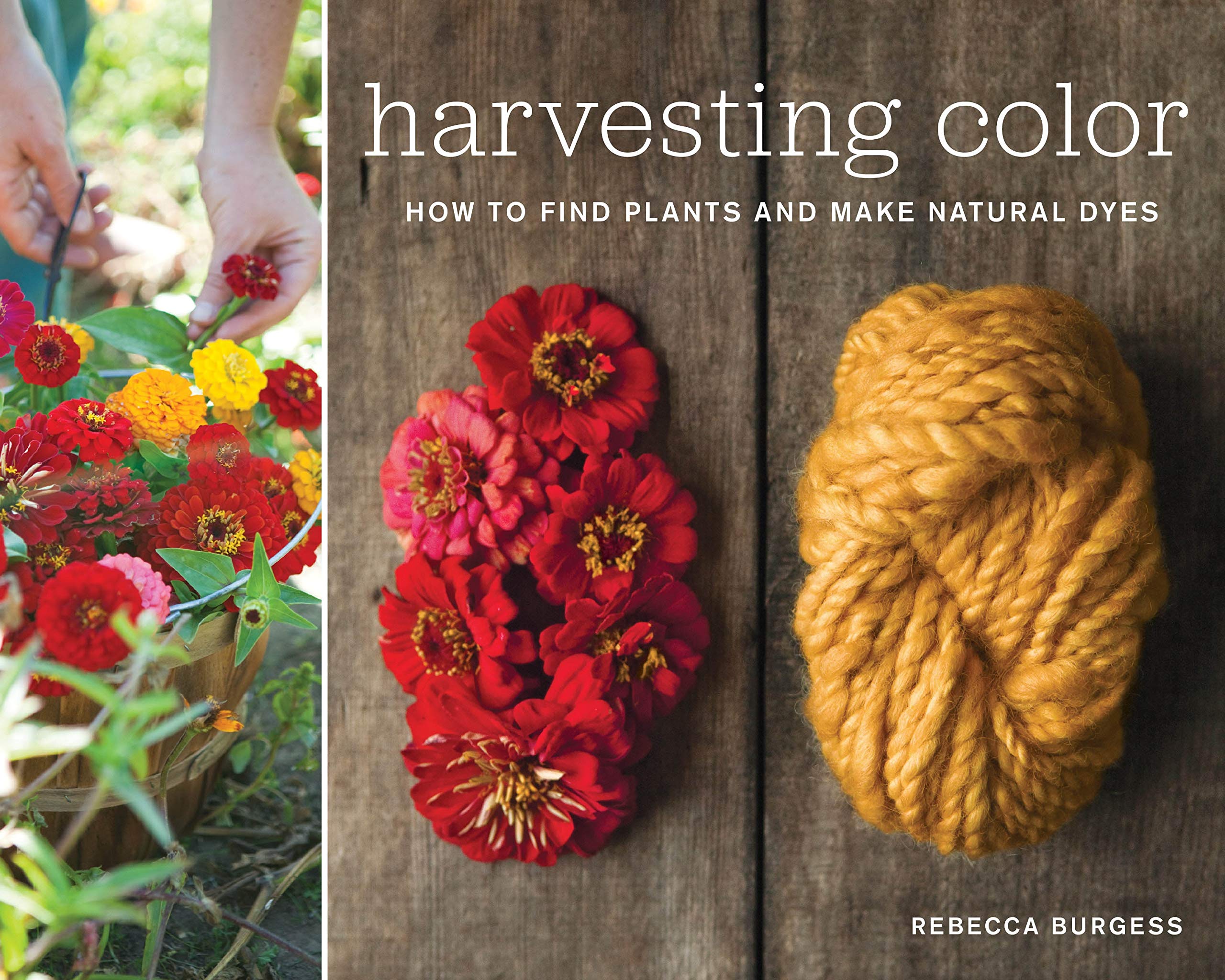 Book cover Harvesting Color: How to find plants and make natural dyes
