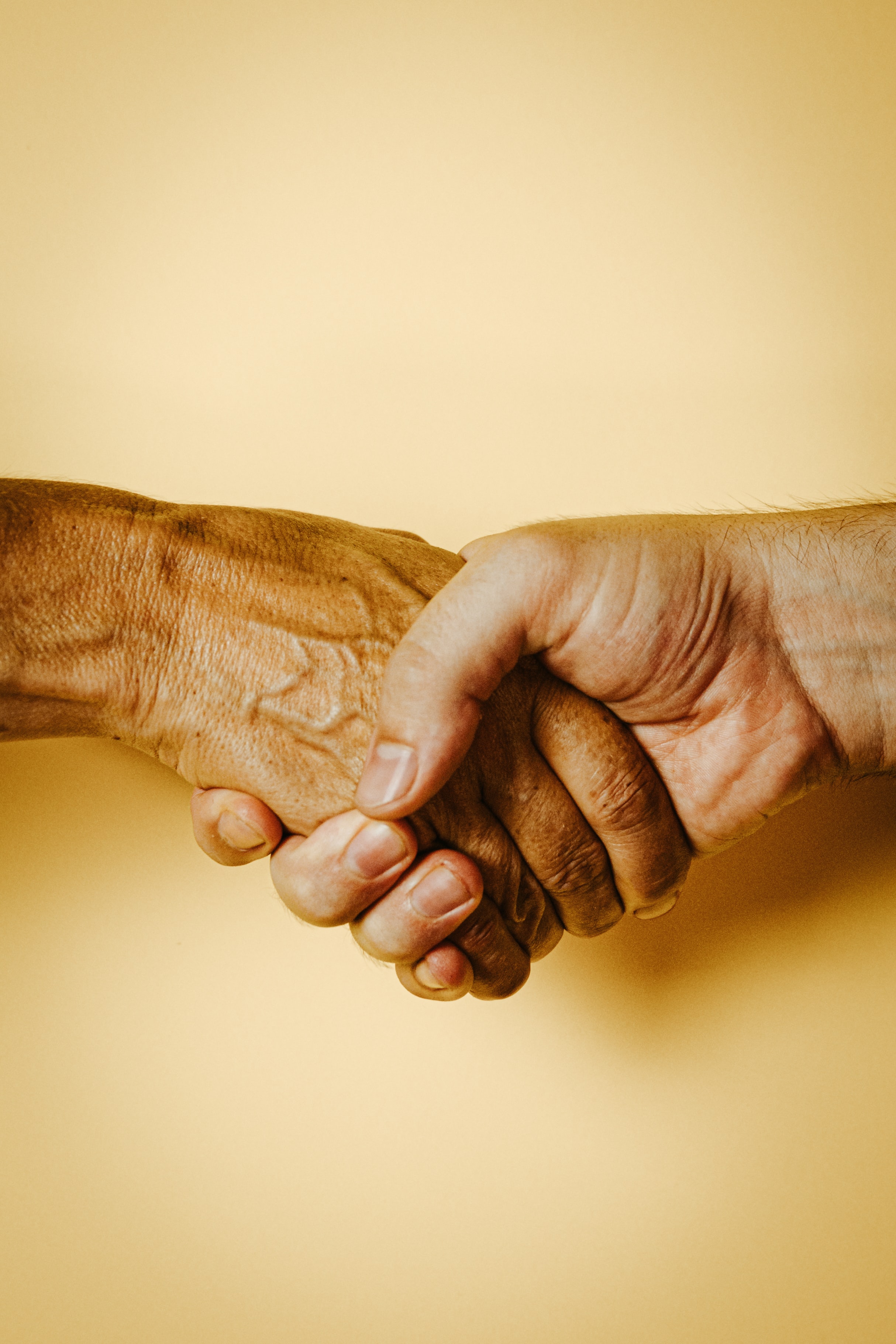 A handshake on a yellow background 