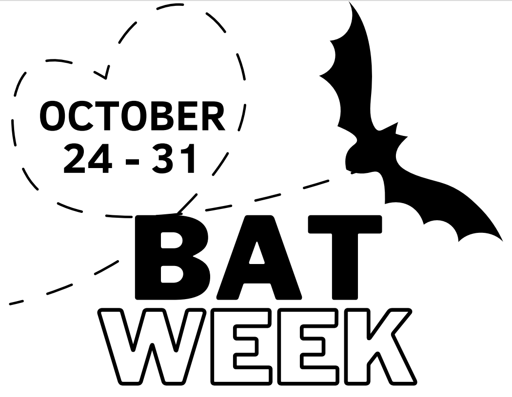 bat week october 24-31