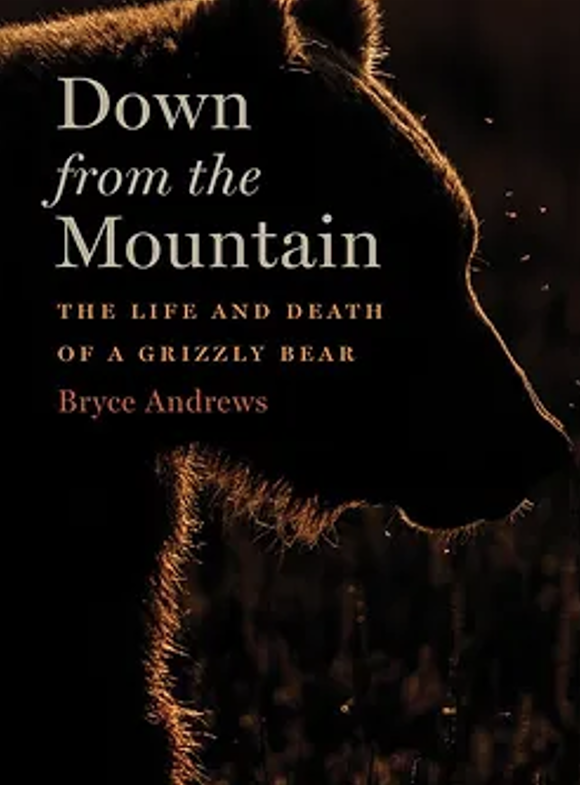 Cover of the book Down from the Mountain with a grizzly bear face