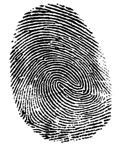 Fingerprint