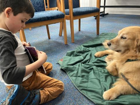 young patron reading to golden retriever