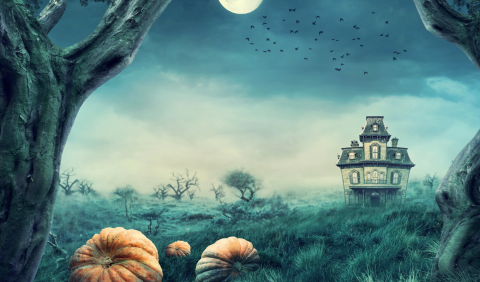 Spooky field with pumpkins