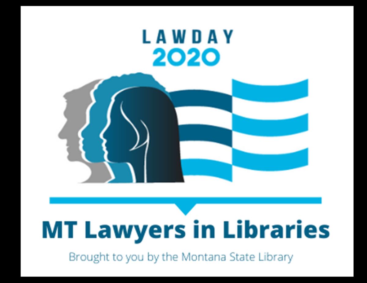 Lawyers in Libraries Logo