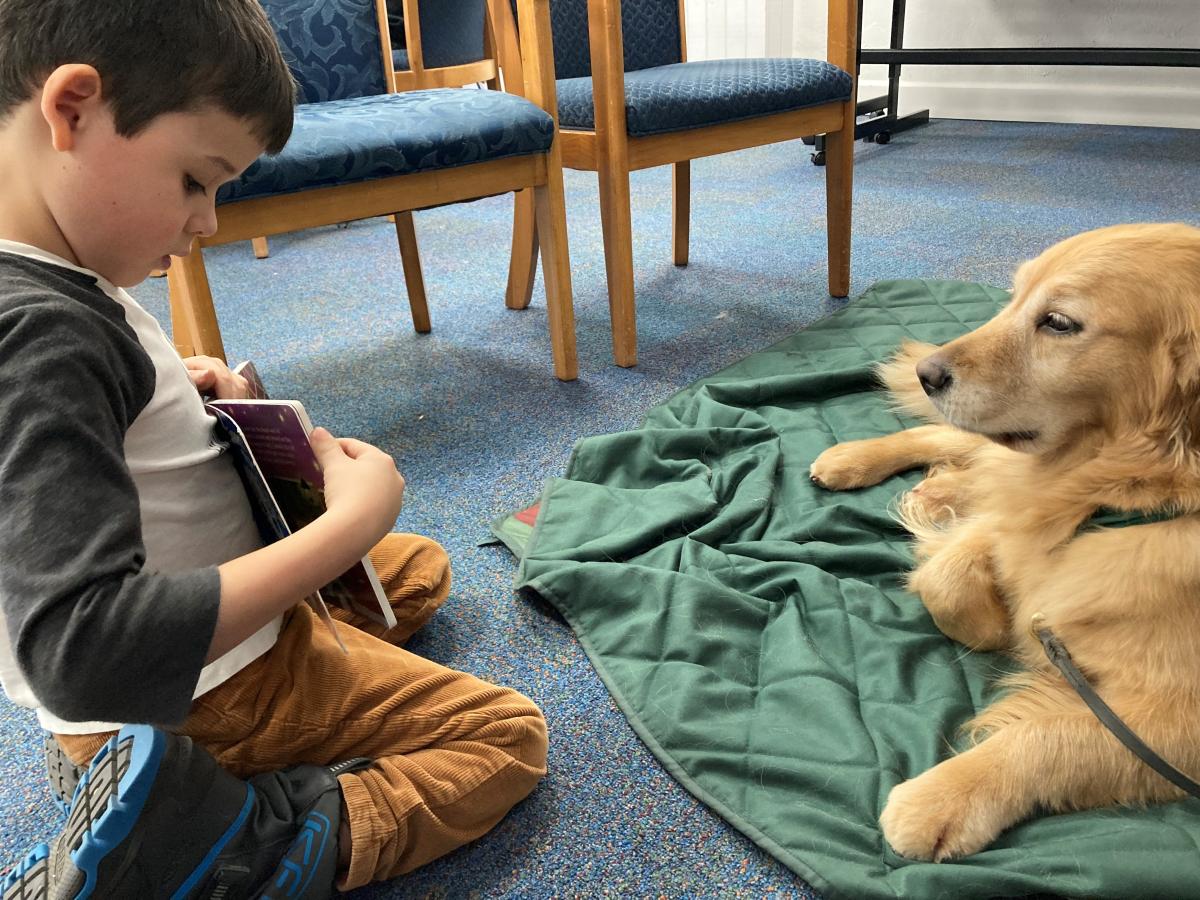 young patron reading to golden retriever