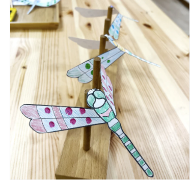 dragonfly